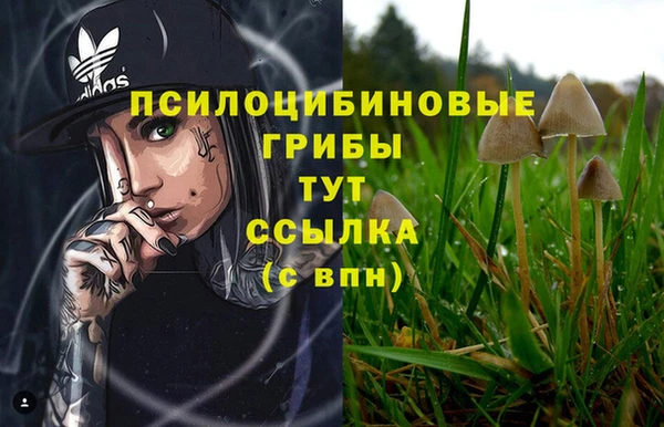 мефедрон мука Каменногорск