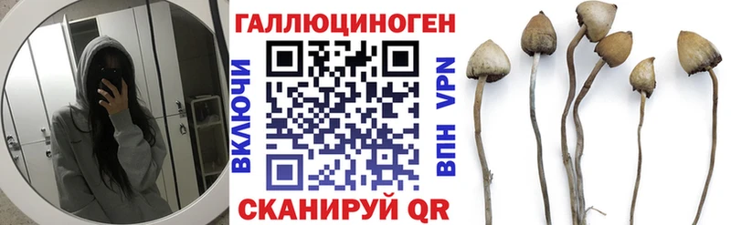 Псилоцибиновые грибы мухоморы  Купить закладки  Саров 